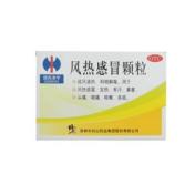 风热感冒颗粒(长白山)