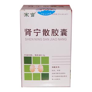 肾宁散胶囊(大宋)