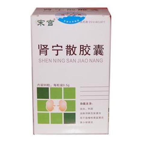 肾宁散胶囊(大宋)包装主图