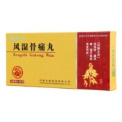 风湿骨痛丸(娄氏疗法)