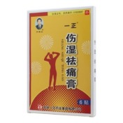 伤湿祛痛膏(一正)