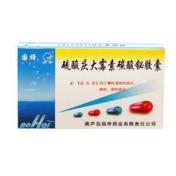 硫酸庆大霉素碳酸铋胶囊(国缔)