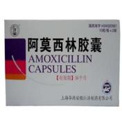 阿莫西林胶囊(仁济堂)
