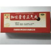 加味藿香正气丸(普济堂)