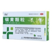 银黄颗粒(国金)