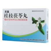 桂枝茯苓丸(天强)