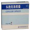 头孢克洛胶囊(川药)