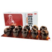 脾肾两助丸(一生安)