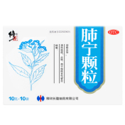 肺宁颗粒(修正)