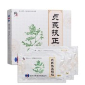 贞芪扶正颗粒(修正)