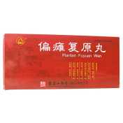 偏瘫复原丸(景忠山)