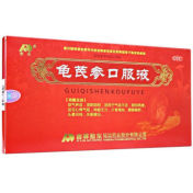 龟芪参口服液(敖东)