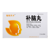补脑丸(智励天才)