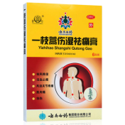 一枝蒿伤湿祛痛膏(雷公)