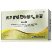 羔羊胃提取物维B12胶囊(生化)