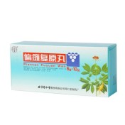 偏瘫复原丸(同仁堂)