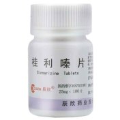 桂利嗪片(辰欣)