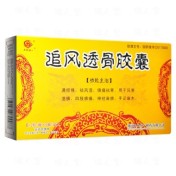 追风透骨胶囊(天地恒一)