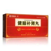 健脑补肾丸(荣昌)
