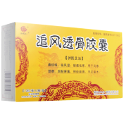 追风透骨胶囊(天地恒一)