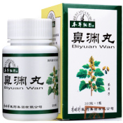 鼻渊丸(本草纲目)