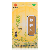 归脾丸(张恒春)