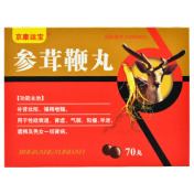 参茸鞭丸(京康运宝)