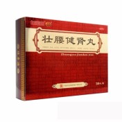 壮腰健肾丸(陳李済)