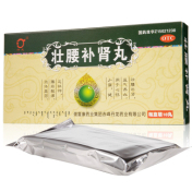 壮腰补肾丸(丹龙)