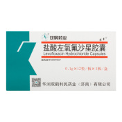 盐酸左氧氟沙星胶囊(左丰)