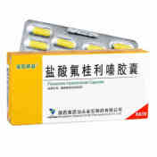 盐酸氟桂利嗪胶囊(金石倍妥)