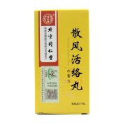 散风活络丸(同仁堂)