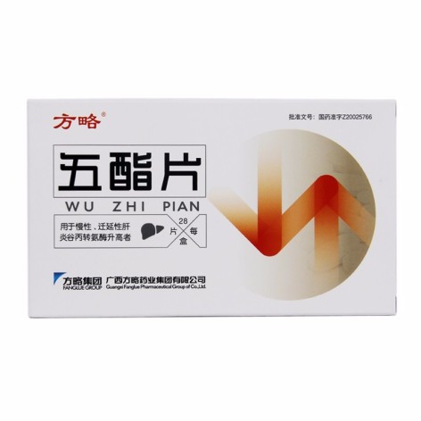 五酯片(方略)包装主图