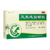 风寒感冒颗粒(连乡)