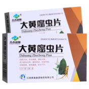 大黄䗪虫片(康源)