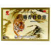 麝香壮骨膏(利麗嘉)