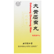 大黄䗪虫丸(同仁堂)