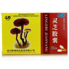 灵芝胶囊(永治)