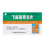 飞扬肠胃炎片(康和药业)