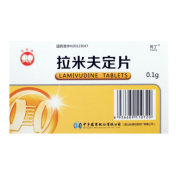 拉米夫定片(同丁)