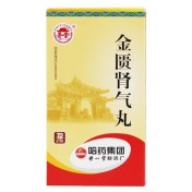 金匮肾气丸(世一堂)