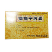 痹痛宁胶囊(潘大夫)