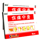 伤痛宁膏(葵花)