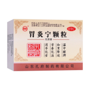 胃炎宁颗粒(孔府)