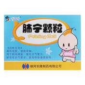 肺宁颗粒(修正)