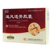 追风透骨胶囊()