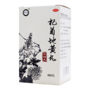 杞菊地黄丸()