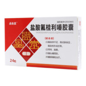 盐酸氟桂利嗪胶囊()