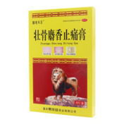 壮骨麝香止痛膏()