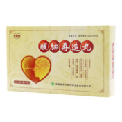 醒脑再造丸()